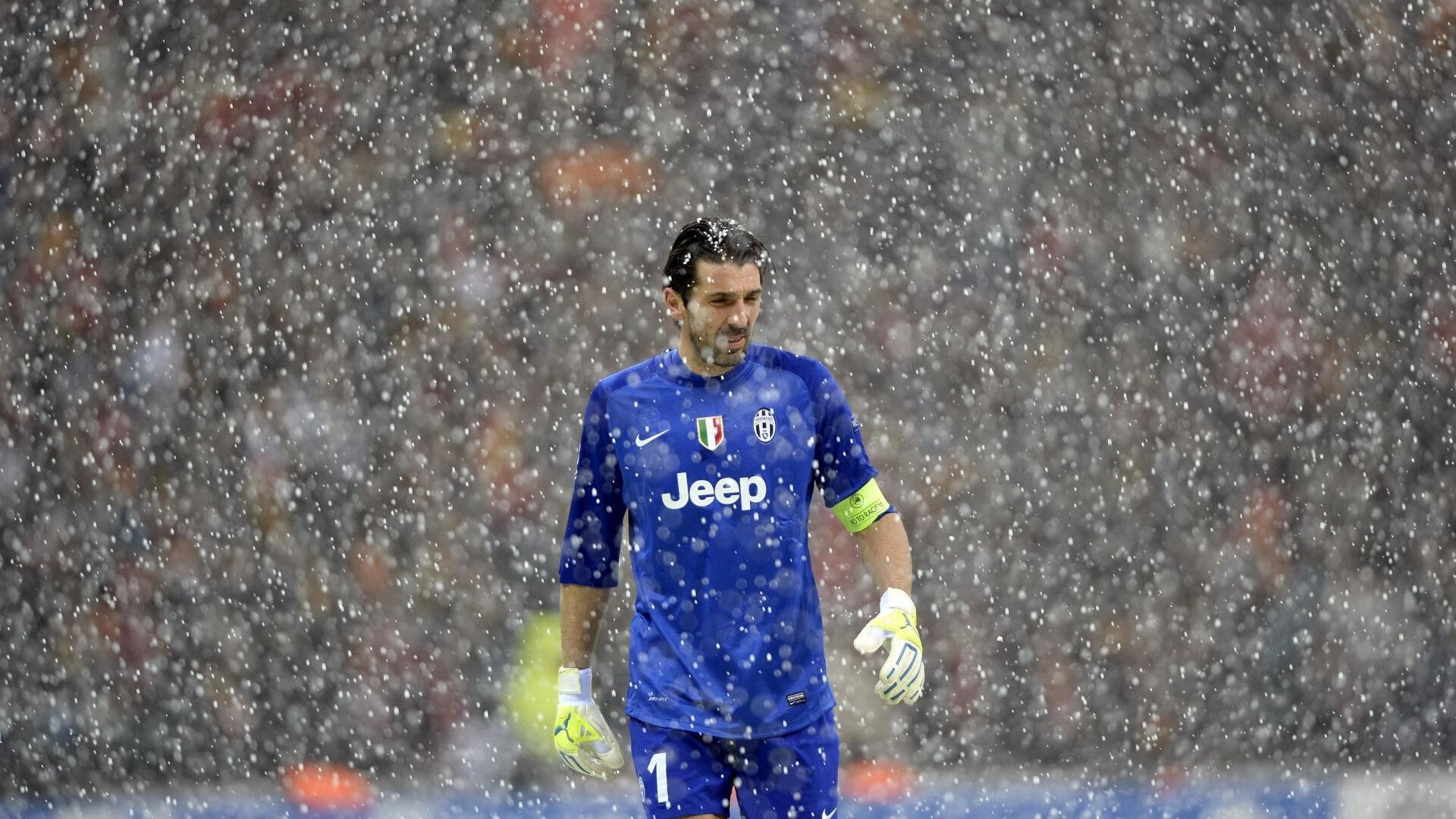 中国跳水队包揽世锦赛全部金牌 创历史最佳战绩